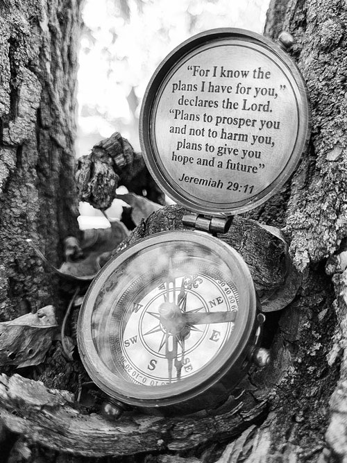 A black and white photo of a compass resting on a tree.